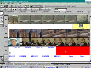 videditimage.gif (39578 bytes)